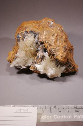 Scholzite