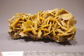 Wulfenite