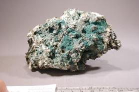 Ferroceladonite with Albite and Elpidite and Epididymite