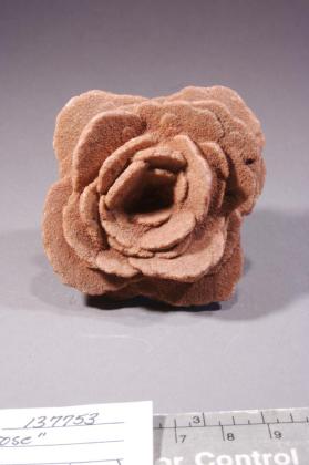 desert rose