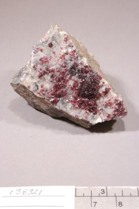 Wendwilsonite