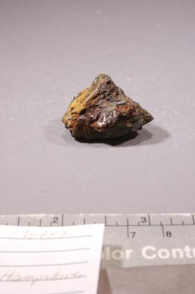 Samuelsonite