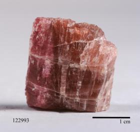 rubellite