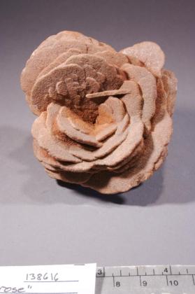 desert rose