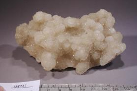 Colemanite