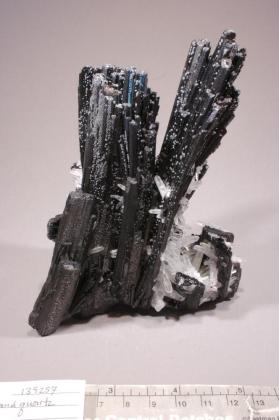 Muscovite with Quartz