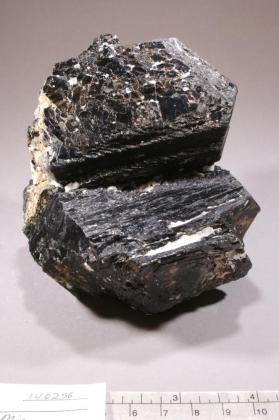 Phlogopite