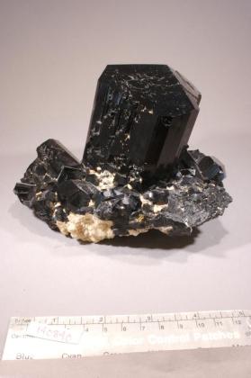 Tourmaline Group