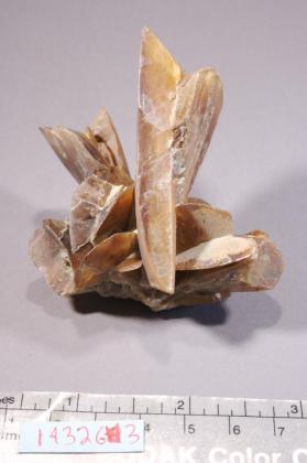 Gypsum