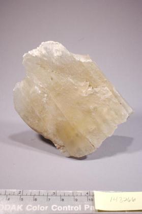 Gypsum