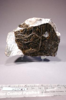 Astrophyllite