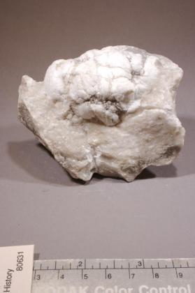 Howlite