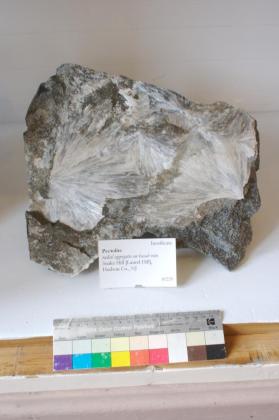 Pectolite