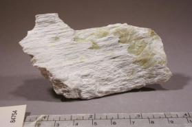 camsellite