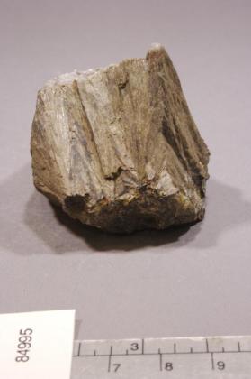 BUSTAMITE