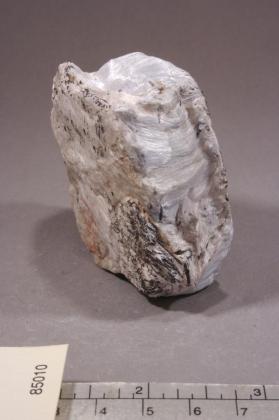 TREMOLITE