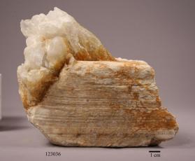 cymatolite