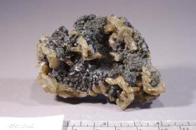 Leucite