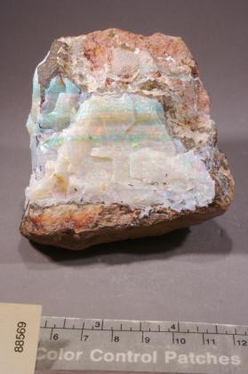 OPAL