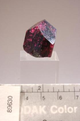 rubellite