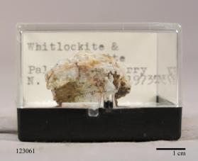 Whitlockite