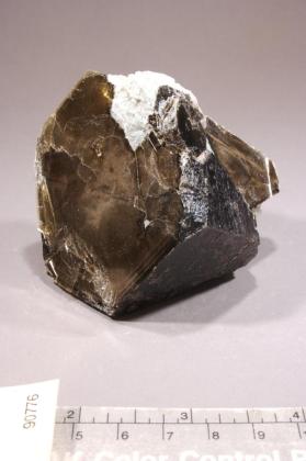 Phlogopite with CALCITE and FLUORAPATITE