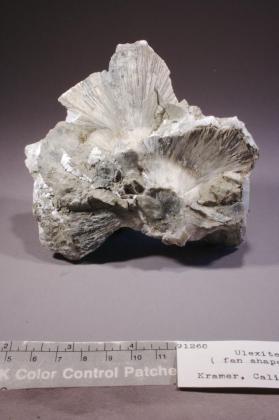 Ulexite