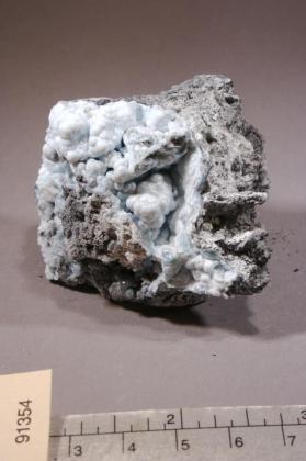 evansite