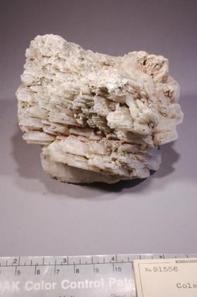 Colemanite