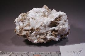 Meyerhofferite