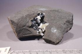 Phillipsite