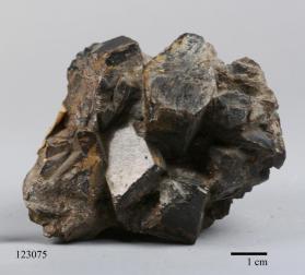 STAUROLITE