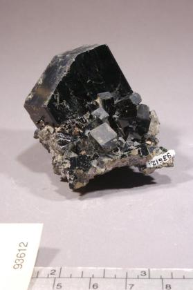 HEDENBERGITE