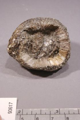 Anthophyllite