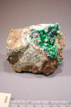 Annabergite (var. cabrerite)