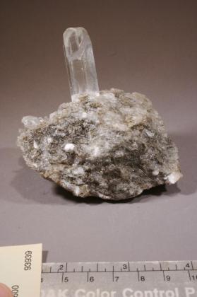 Gypsum