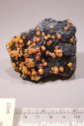 Stolzite