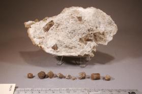 Dolomite