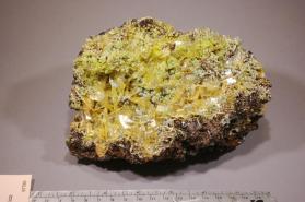 Wulfenite