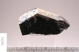 Pargasite
