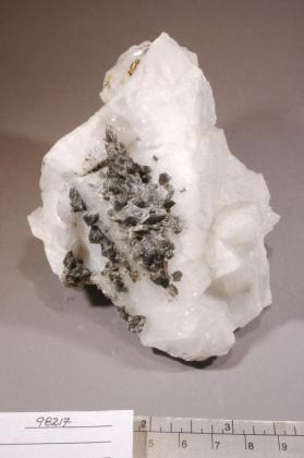 codazzite with CALCITE and Pyrite