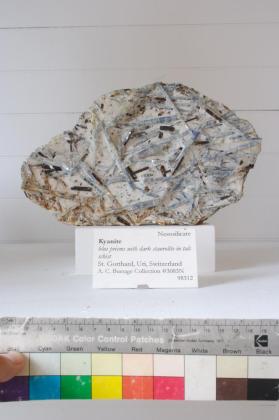 KYANITE with Biotite and Paragonite and STAUROLITE