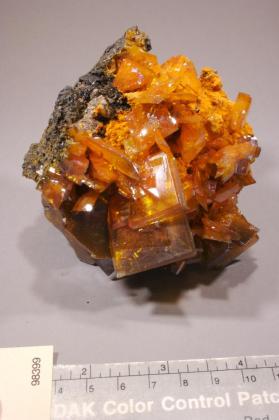 Wulfenite