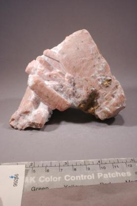 BUSTAMITE