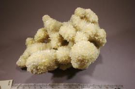 Celestine