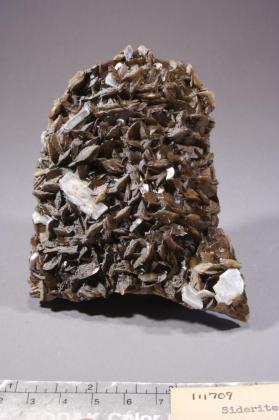 Siderite with BARITE