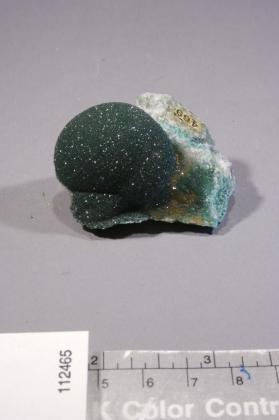 MALACHITE with Quartz