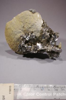 Siderite with Arsenopyrite and muscovite? and Quartz