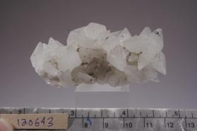 CALCITE