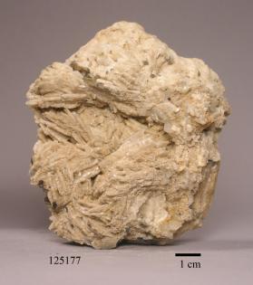 Albite with Bertrandite and Muscovite and Quartz